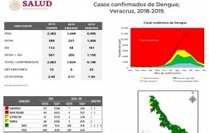 Veracruz registra 23 muertes por dengue y más de ocho mil casos en 2019: Boletín Epidemiológico