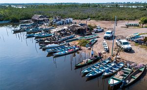 Inspección y vigilancia, fortaleza del sector pesquero y acuícola nacionalpección y vigilancia, fortaleza del sector pesquero y acuícola nacional