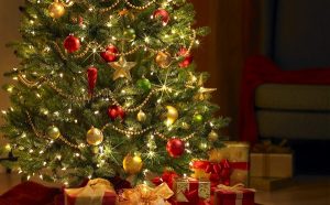 ¿Sabes cuándo se el árbol de Navidad?