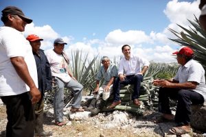 El Gobierno de Mauricio Vila Dosal escucha e impulsa a los productores henequeneros