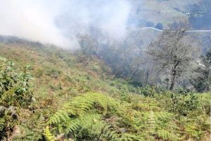 Quema agrícola se sale de control y provoca incendio forestal en Xico, Veracruz