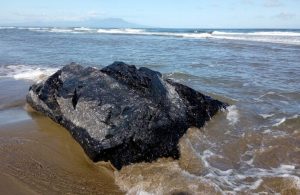 Anuncian suspensión de eventos masivos en playas de Coatzacoalcos, Veracruz