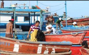 Se adelanta en Yucatán, el pago de apoyos para pescadores del programa Respeto la Veda del Mero 2020