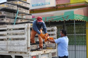 Alcaldes en Tabasco reparten pollos y despensas ante pandemia del coronavirus