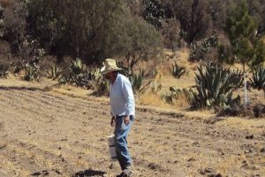 Conagua determina inicio de emergencia por sequía en México
