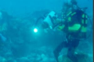 Comparten en línea los tesoros subacuáticos del país