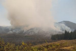 Suman 62 incendios y 807 hectáreas afectadas en el estado de Veracruz