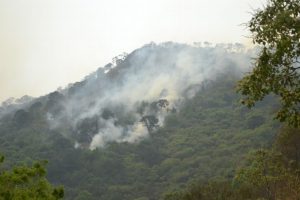 Activos, cuatro incendios forestales en el estado de Veracruz