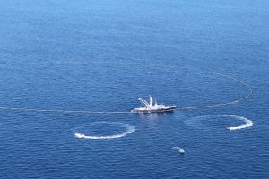 La pesca y acuicultura nacional, no se detienen