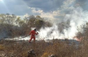 Coordinación, clave en combate a incendios en Yucatán