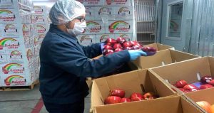 Alimentos garantizados al 100, gracias a la inspección y vigilancia fitozoosanitaria