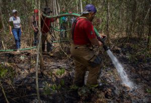 Supervisa Laura y combate a incendio forestal en la ruta de los Cenotes