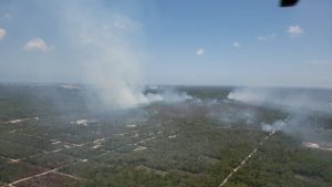 Afectan 27 incendios casi mil 700 hectáreas de Quintana Roo