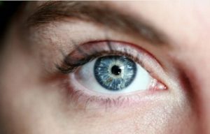 Neuronas retinianas se comunican diferente al resto del ojo: Estudio