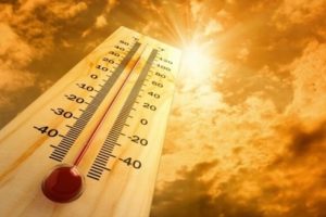 Estudios apuntan la llegada de olas de calor mortales en el mundo