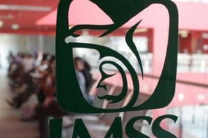 Cancela IMSS contrato a empresa relacionada con sobrinos del compadre de Rocio Nahle