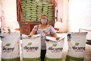 Productores del sur de Yucatán reciben 190 toneladas de semillas de soya para reactivar la economía rural ante las afectaciones por la contingencia sanitaria