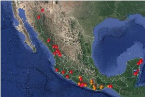 Yucatán y Sonora reportan incendios en áreas naturales protegidas: Conafor