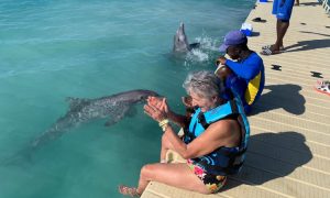 Delfinarios del Caribe Mexicano se alistan para abrir sus puertas al turismo en junio