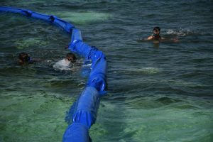 Colocan barreras marinas en las playas de Puerto Morelos para contener el sargazo