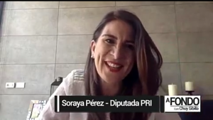 En riesgo la llegada de nuevas inversiones al sector Electrico: Diputada Federal, Soraya Perez