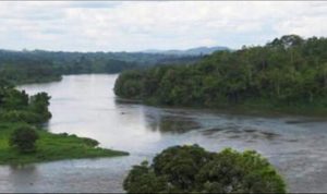Mayoría de los niveles en ríos de Veracruz, por abajo de su nivel de desbordamiento: Conagua