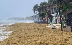 Playas de Quintana Roo con recale masivo de sargazo tras paso de la tormenta tropical ‘Cristóbal’
