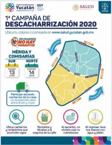 Este fin de semana inicia la campaña de descacharrización en Mérida