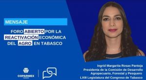 Recorte impacta negativamente en la población que vive y depende del sector rural en Tabasco: Ingrid Rosas