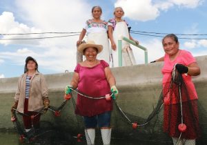 Como el mar y los ríos, el subsector pesquero y acuícola de México ¡No se detiene!