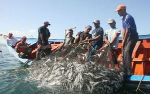 Comisión Nacional de Acuacultura y Pesca festeja 19 años en un mar de logros