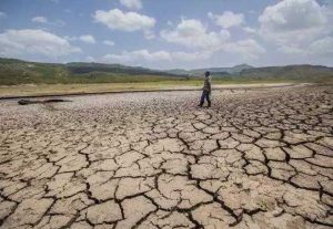 Desertificación y sequía, un panorama muy árido