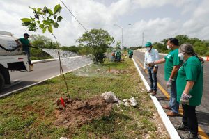 La Cruzada Forestal 2020 a punto de llegar a la meta de este año, afirma el alcalde Renán Barrera