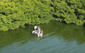 Rescatan en Cancún a dos turistas que ingresaron a la Laguna Nichupté en pequeña