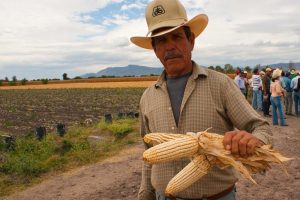 Se avanza en la autosuficiencia alimentaria