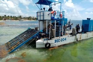 Semar continúa con acciones para la contención del sargazo en Quintana Roo