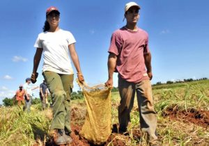 Jóvenes que generan bienestar en el campo mexicano