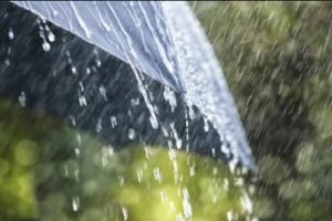 Emiten Alerta Gris por temporal lluvioso y viento del norte en estado de Veracruz