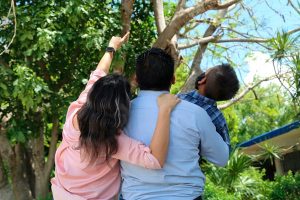 Yucatán logra cifra histórica en adopciones