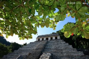 Reabren zona arqueológica de Palenque: INAH