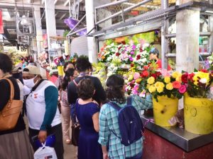 Con el semáforo verde, campechanos se olvidan de la sana distancia