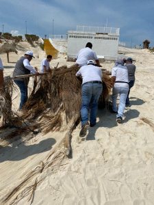 Playas de Cancún abriran gradualmente luego del Huracán “Delta”: Zofemat