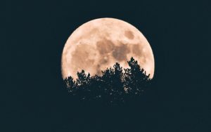 La Luna azul y la Súper Luna ‘invisible’; fenómenos astronómicos que se registrarán en octubre 2020