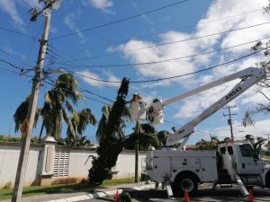 Tras el paso de Delta, CFE restablece al 99% suministro de luz en Quintana Roo y Yucatán