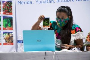 Con el tradicional juego de lotería en Yucatán, se busca preservar la lengua maya