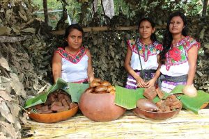 Mujeres rurales, incesante motor de desarrollo