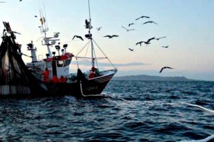 Advierten que barcos extranjeros pescan ilegalmente en áreas marinas protegidas de México