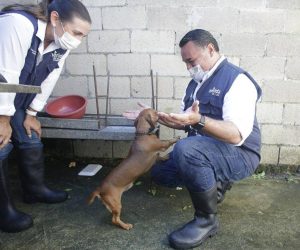 Renán Barrera destaca la importancia de cuidar también la salud de las mascotas