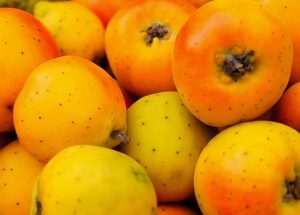 Fruta de temporada: Tejocote
