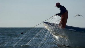 Pesca, una actividad comprometida con la biodiversidad de México